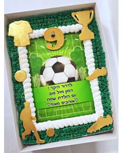 עוגת גן כדורגל מהממת