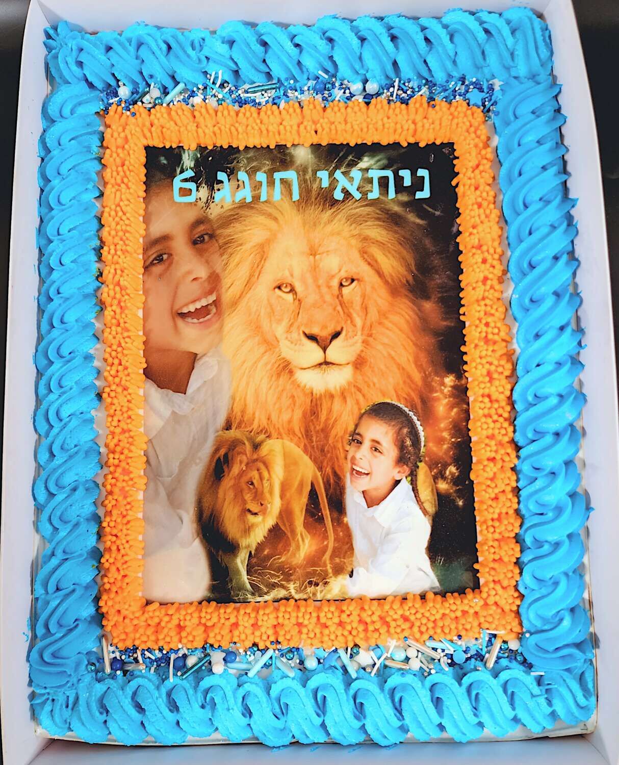 עוגת גן אריות