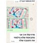 עוגת גן אנה ואלזה זילופים ואלמנטים משוקולד