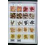 מארז קינוחי כוסות