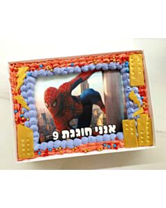 עוגת גן ספיידרמן