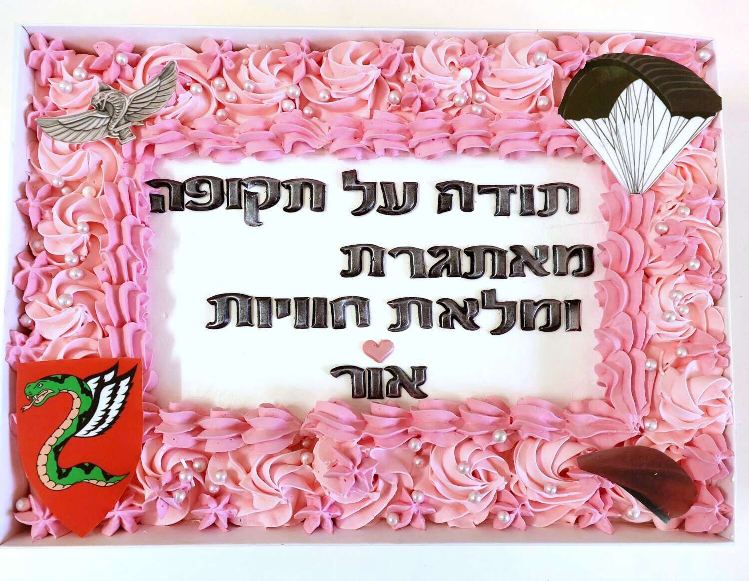 עוגת גן לחיילת