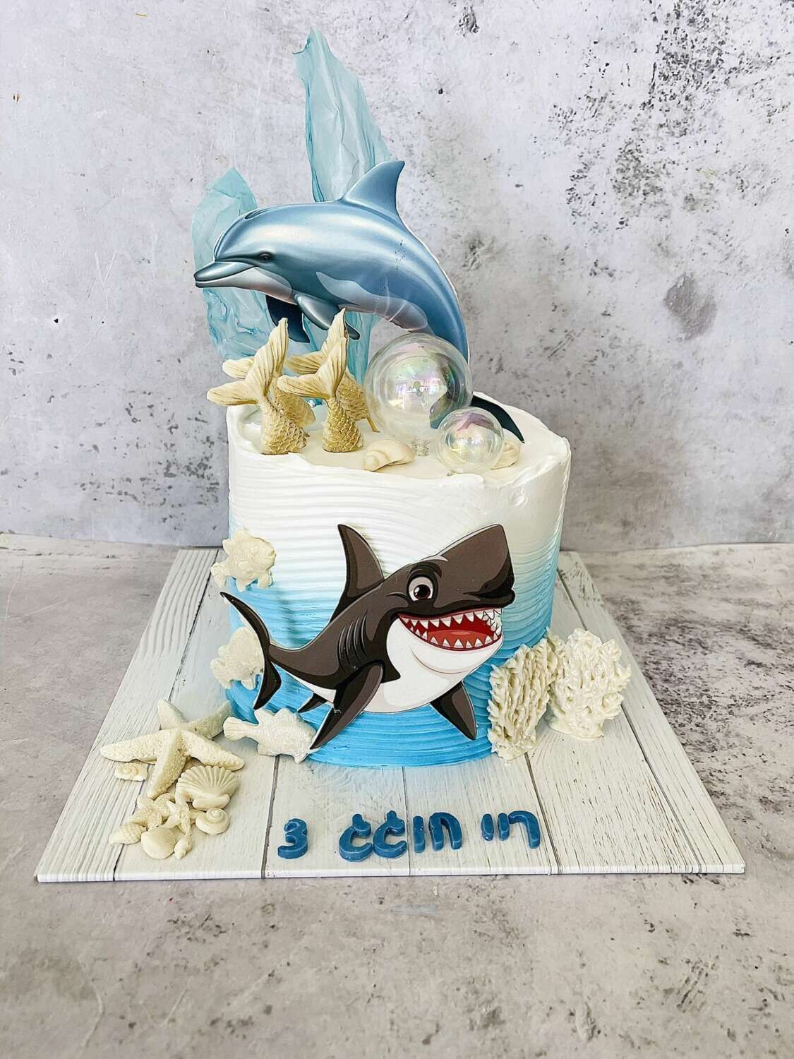 עוגת כריש ודולפין 16