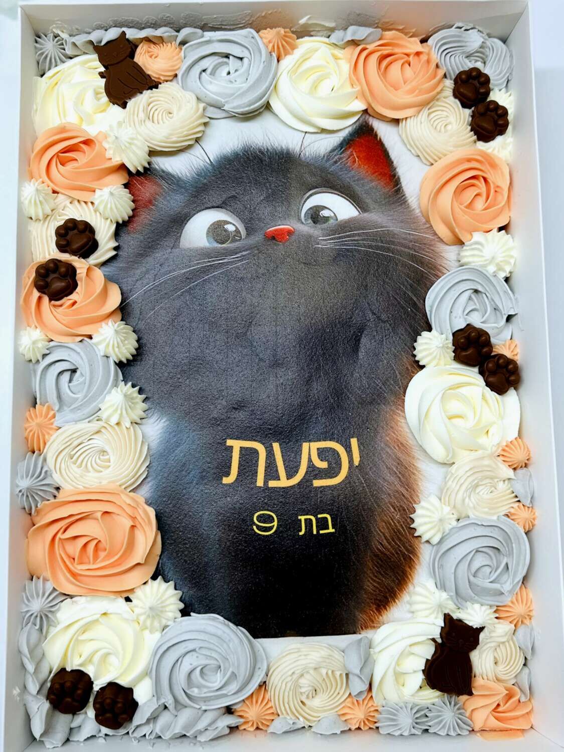 עוגת גן A4 במילוי קרם גנאש ומחית דובדבנים
