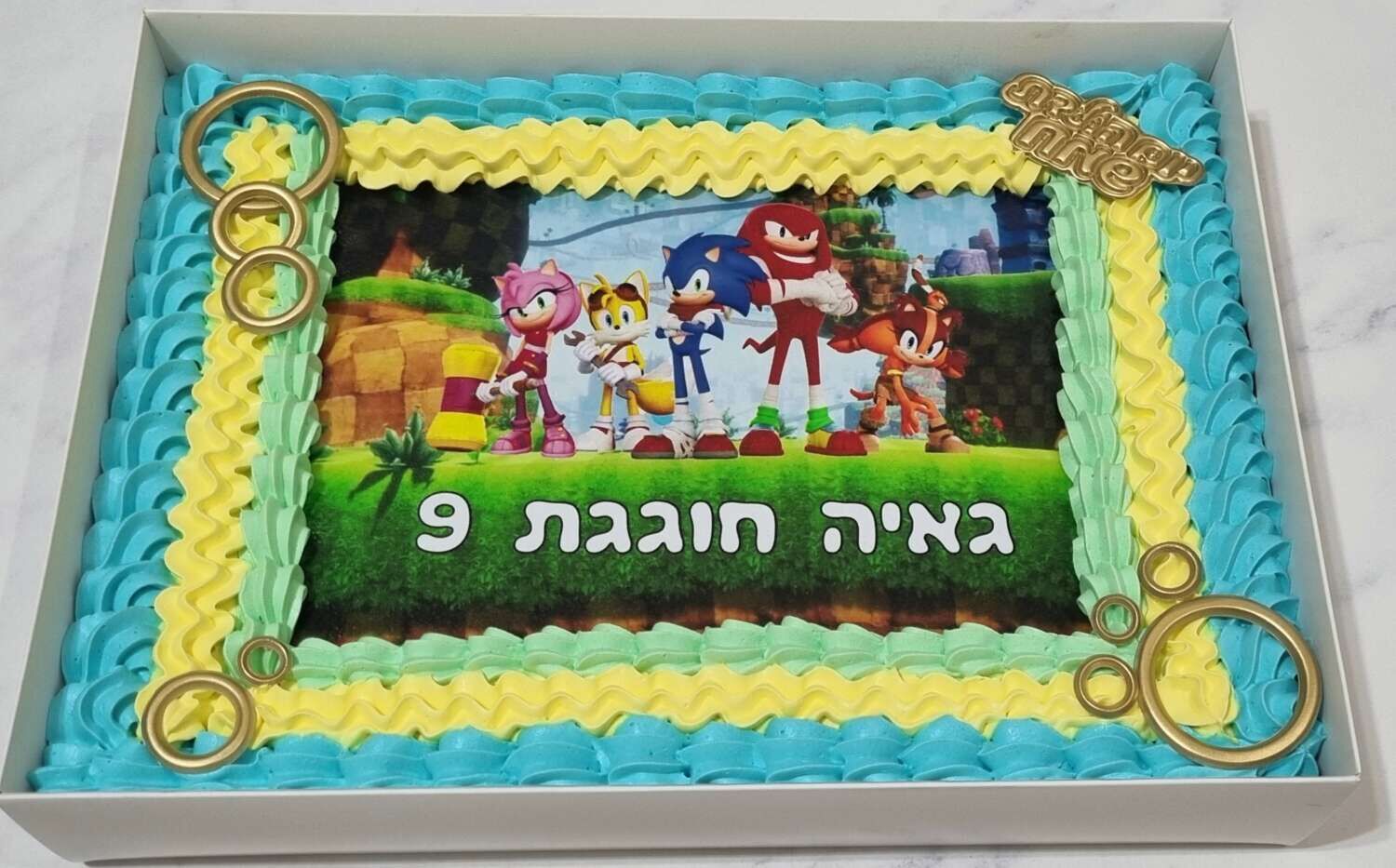 עוגה גן מעוצבת סוניק