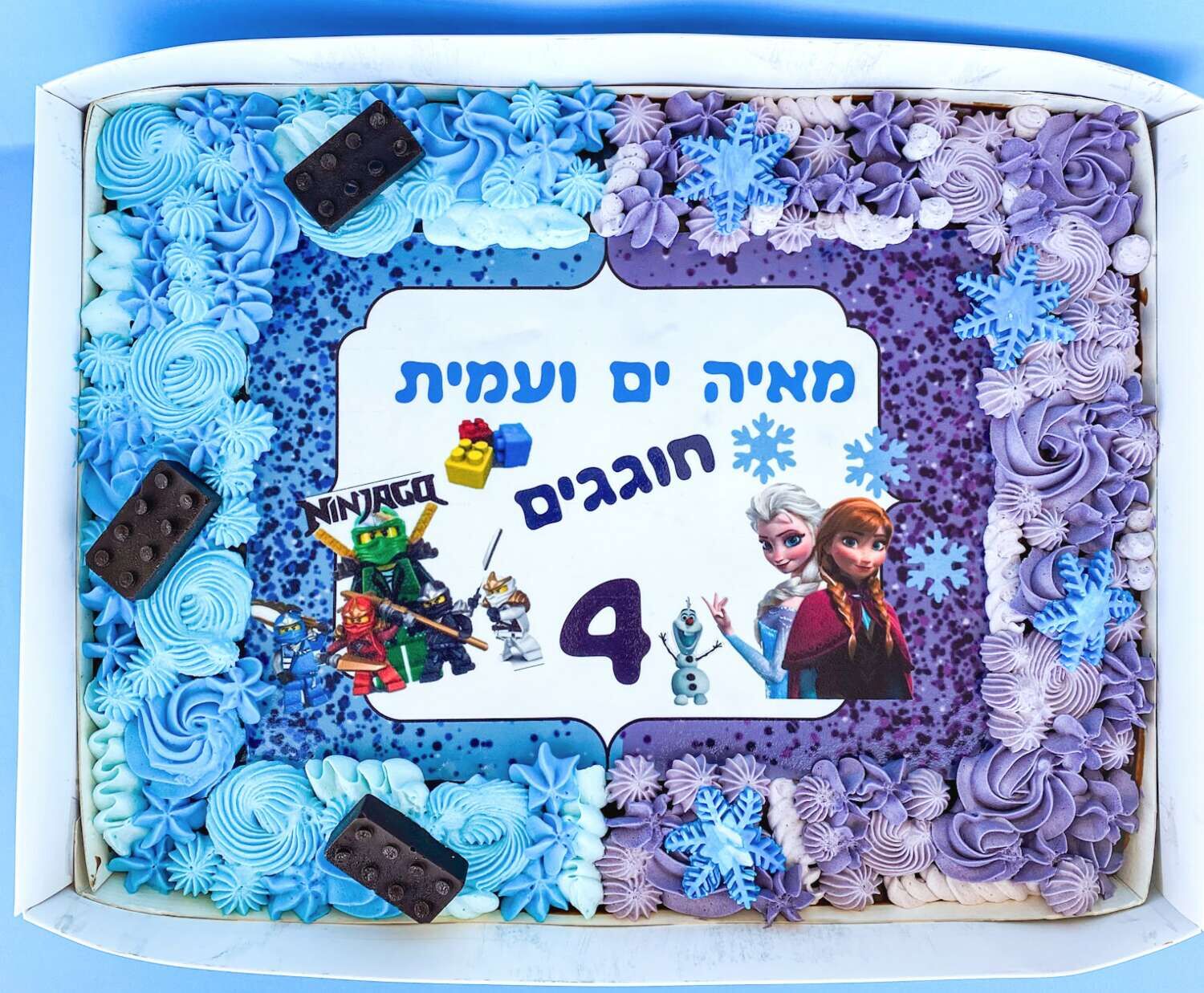 עוגת גן אנה ואלזה ונינגגו