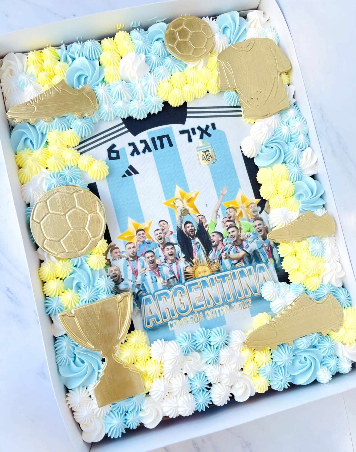 עוגת גן כדורגל מסי ארגנטינה
