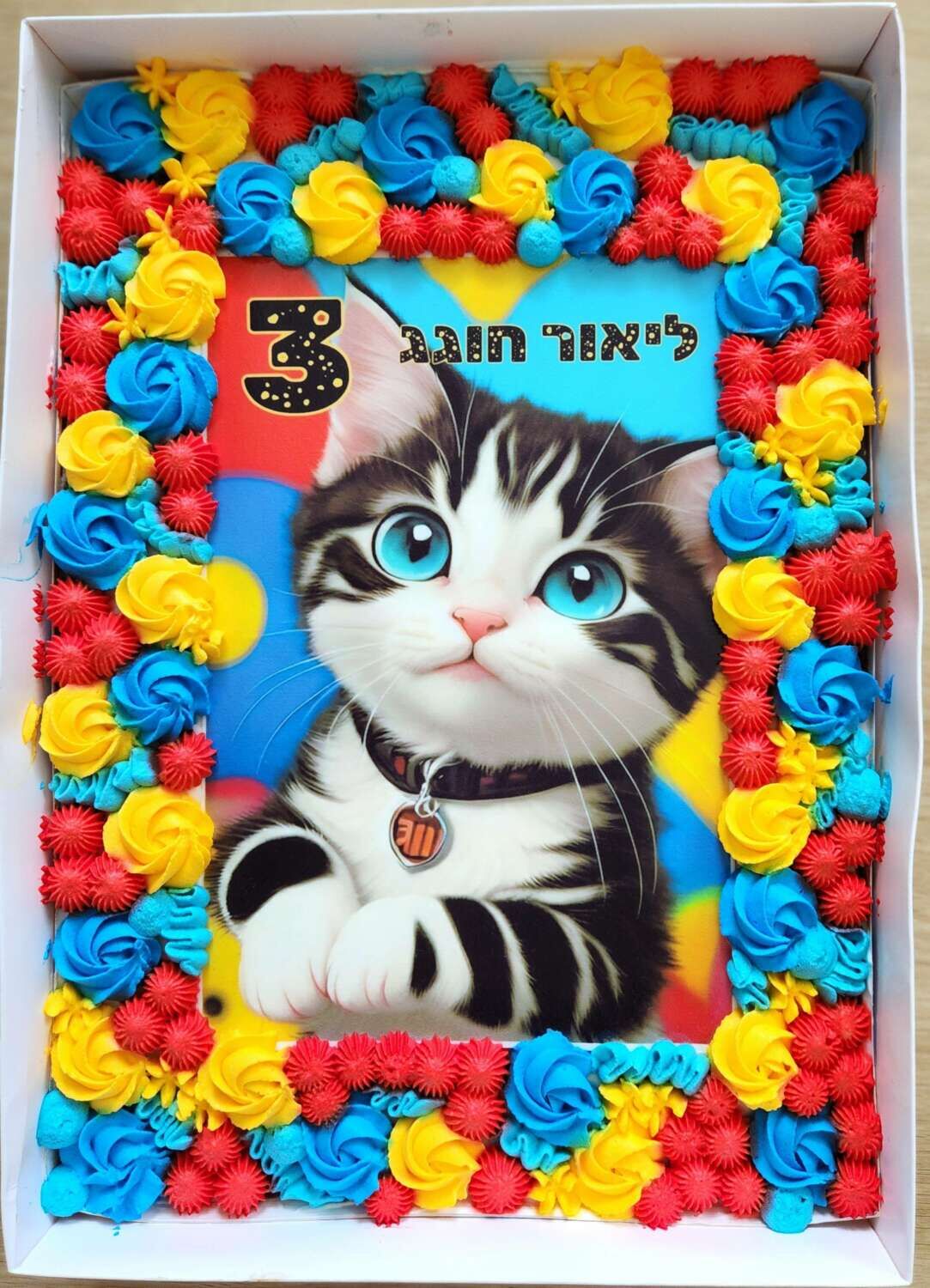 עוגת גן מעוצבת חתול