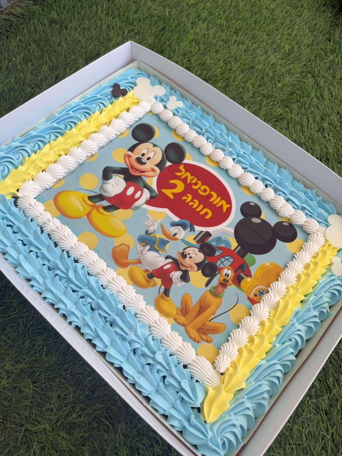 עוגת גן מיקי מאוס
