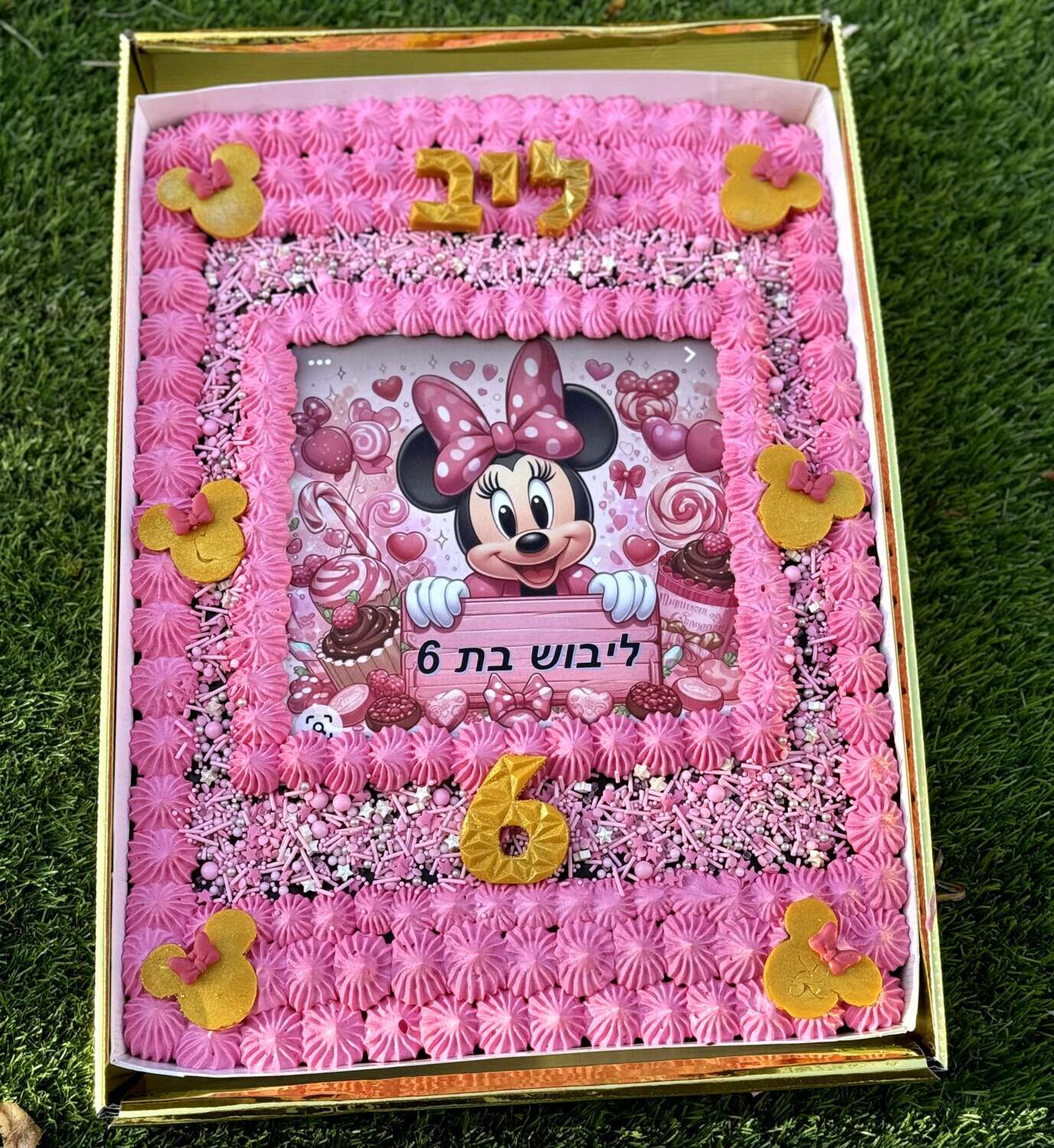 עוגת גן מיני מאוס