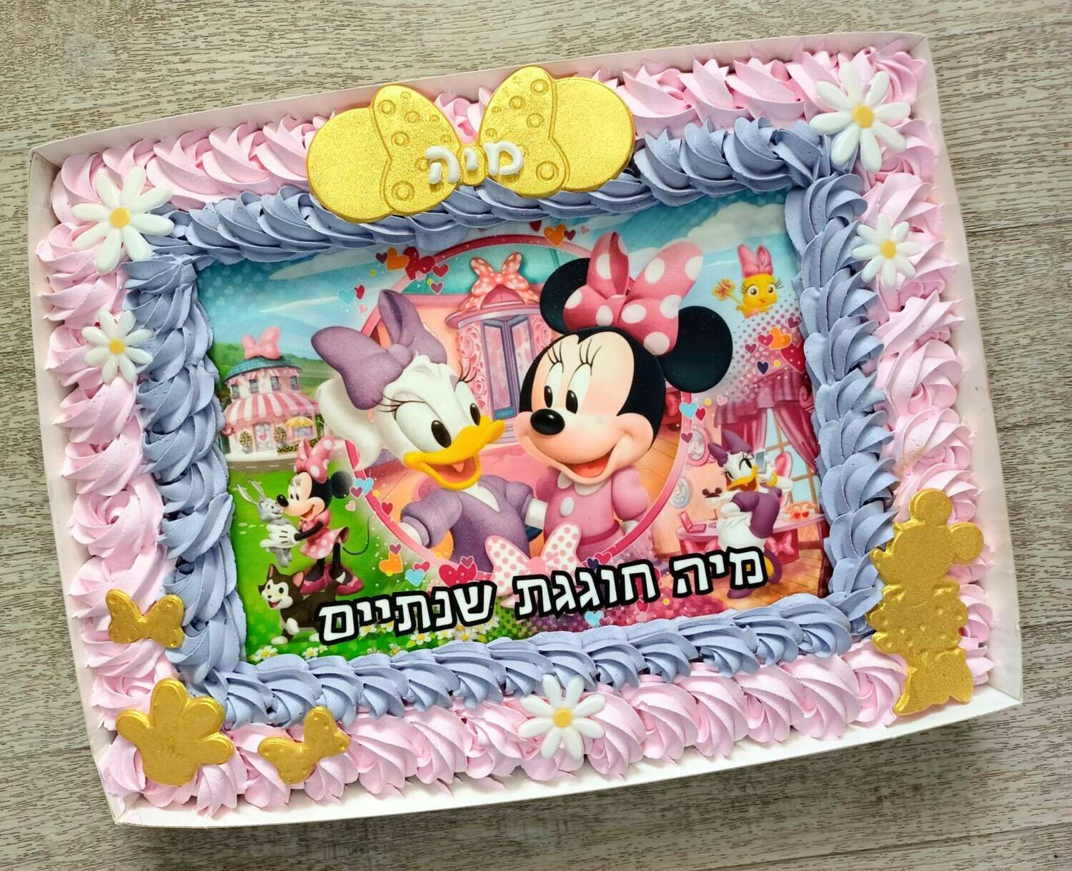 עוגת גן מיני מאוס ודייזי דגם מיה