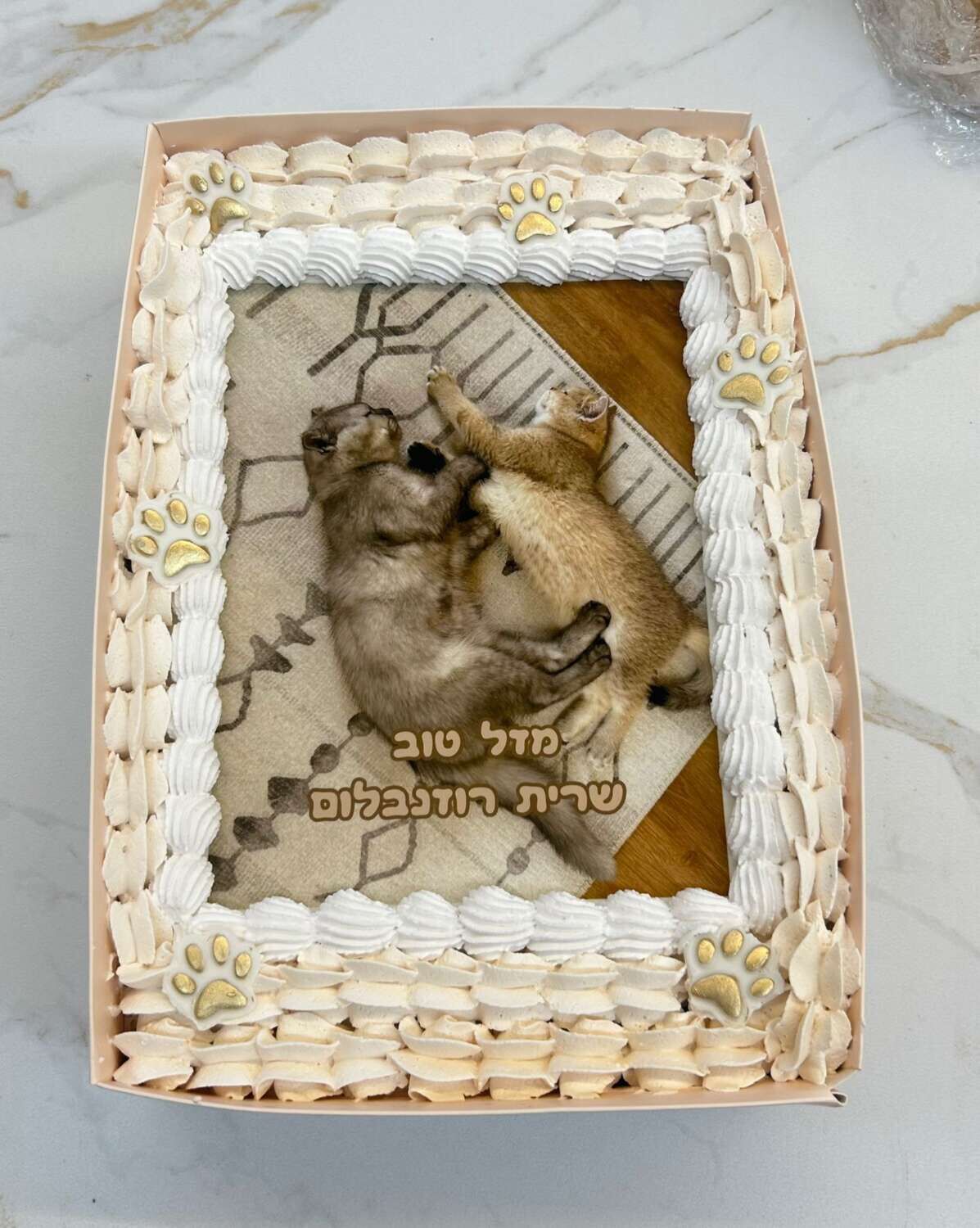 עוגת גן A4 בעיצוב אישי