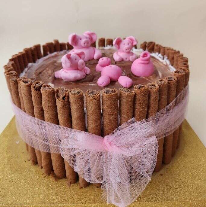 עוגת בריכת שוקולד חזרזירים