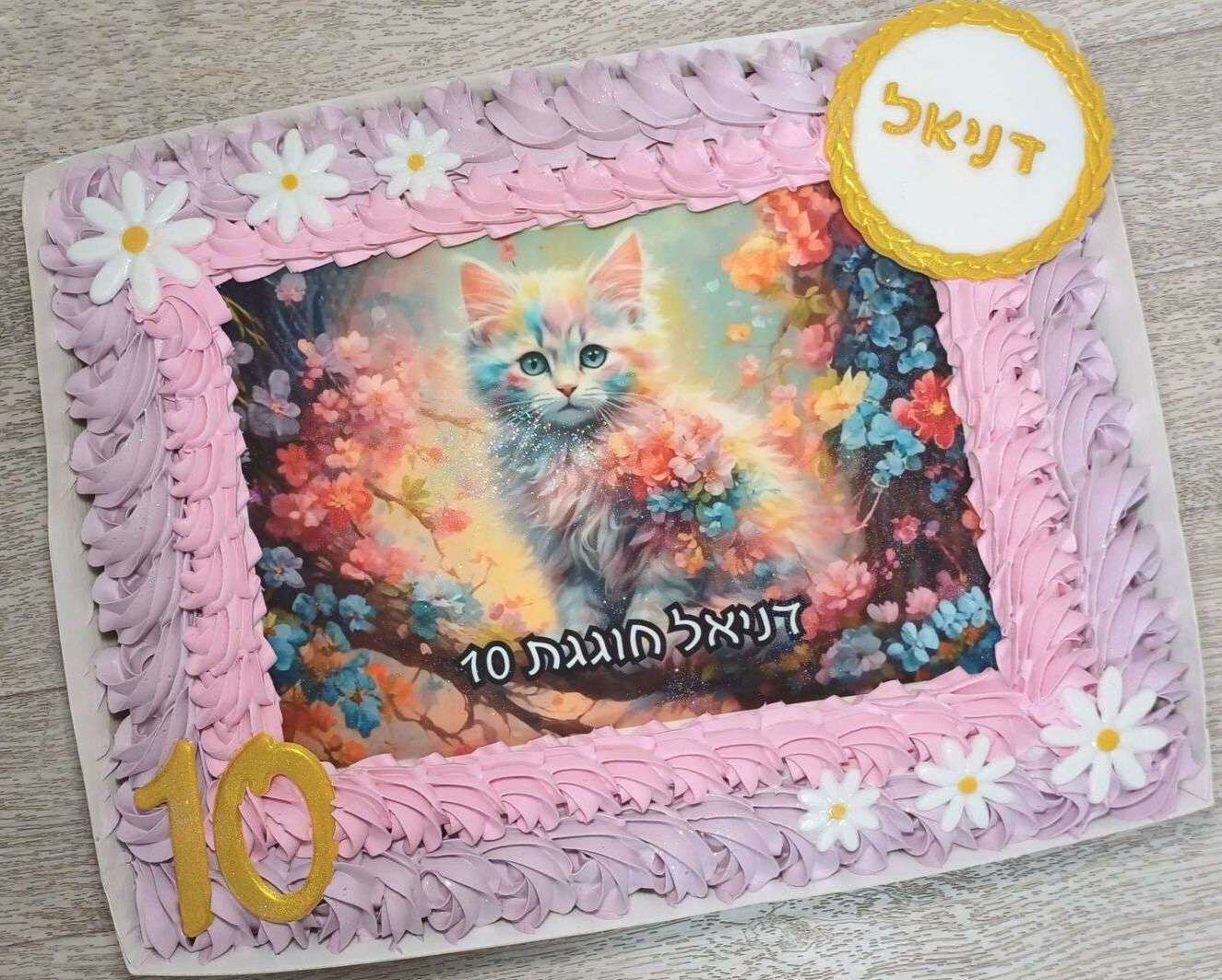 עוגת גן חתולים עוגה בקופסא
