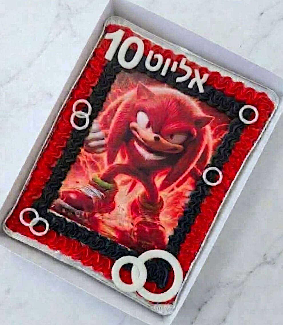עוגת גן מעוצבת סוניק נאקלס