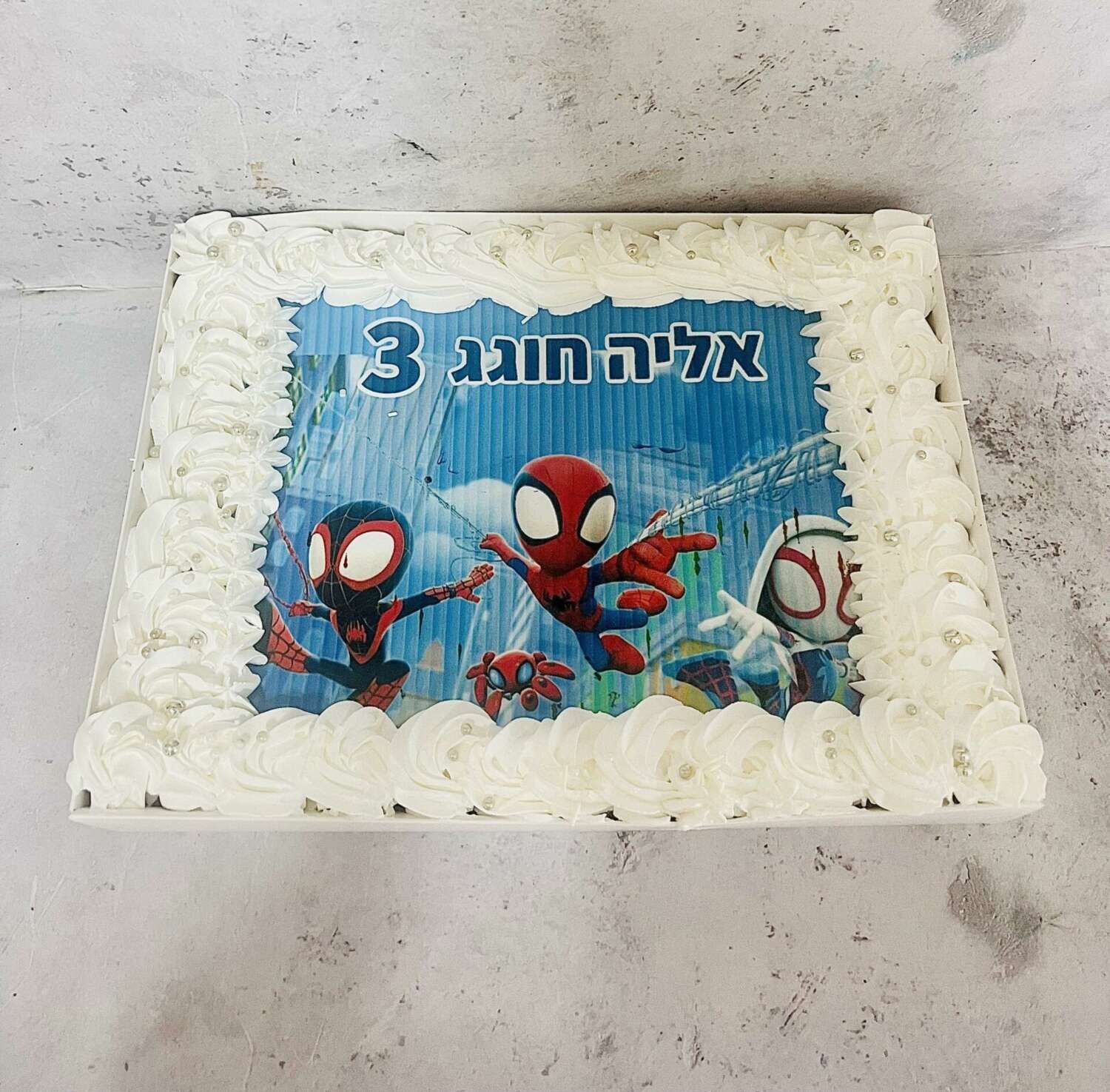 עוגת גן ספיידי