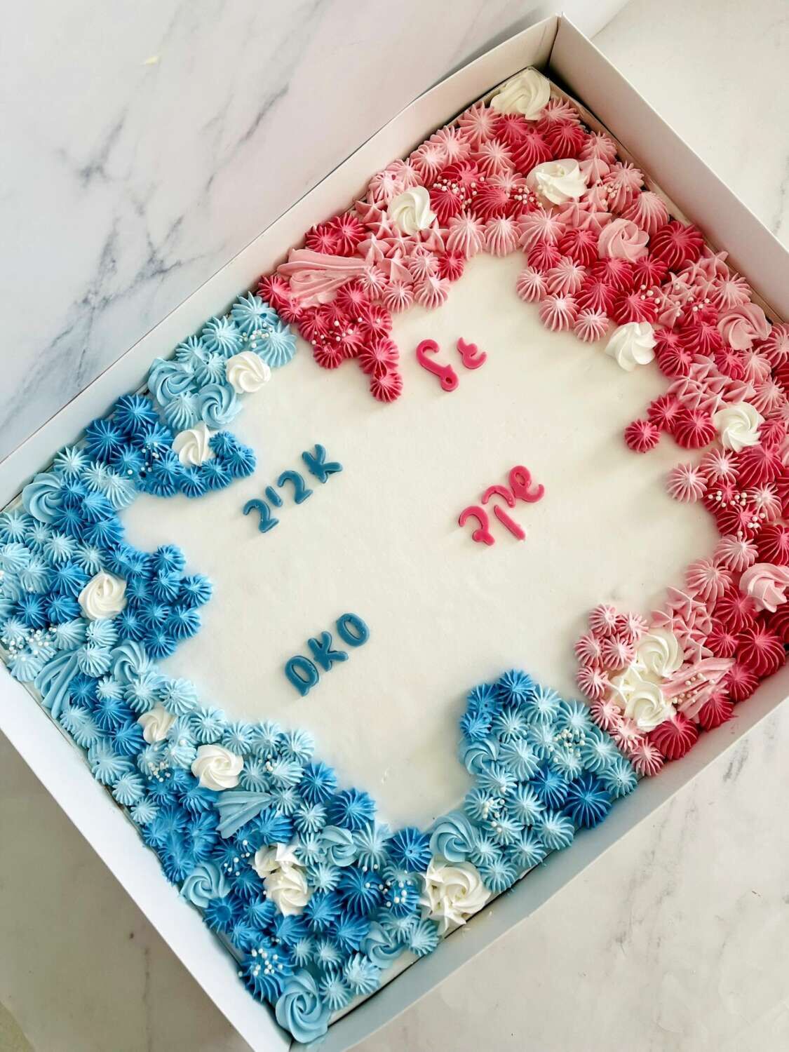 עוגת גן חצי חצי בנים ובנות