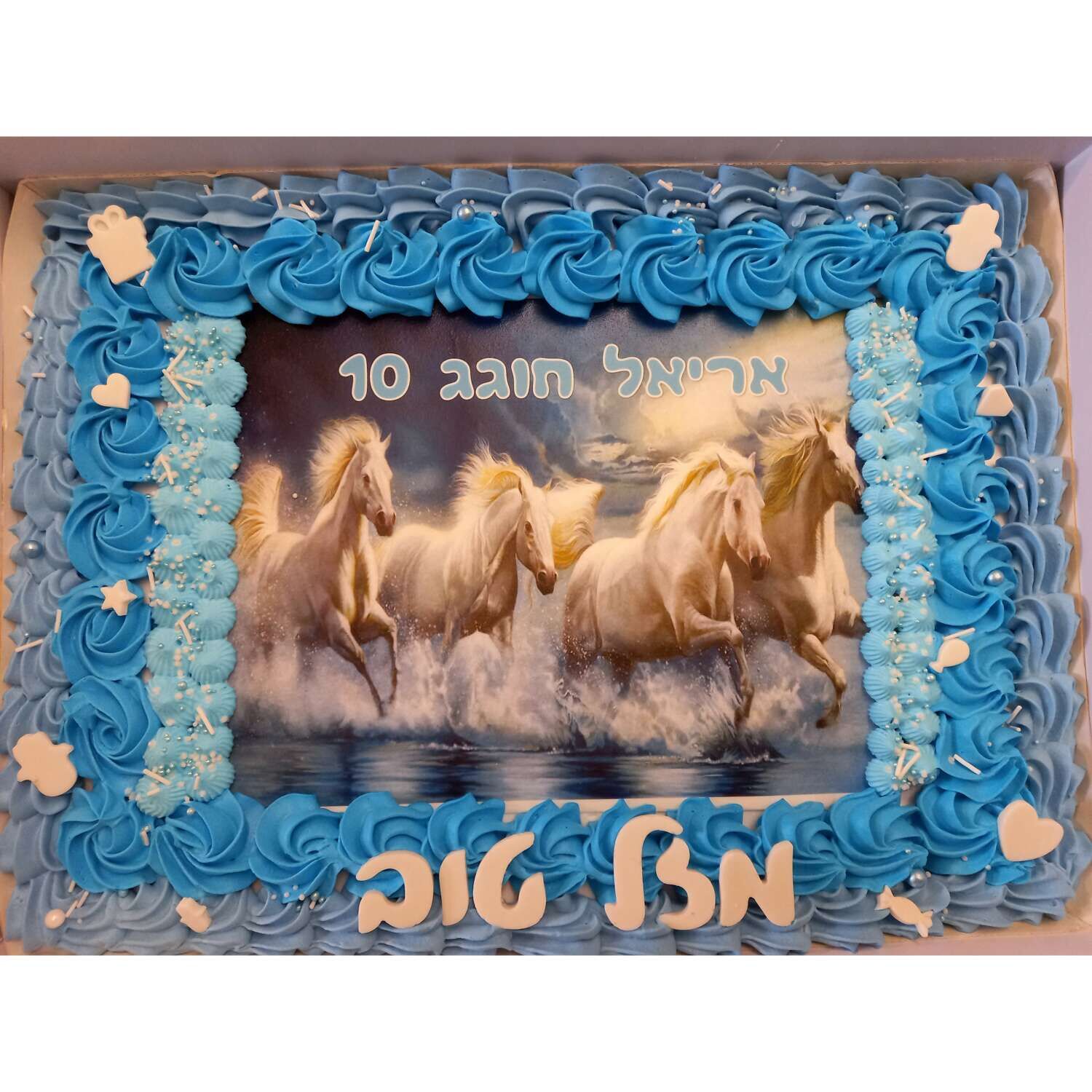 עוגת גן סוסים
